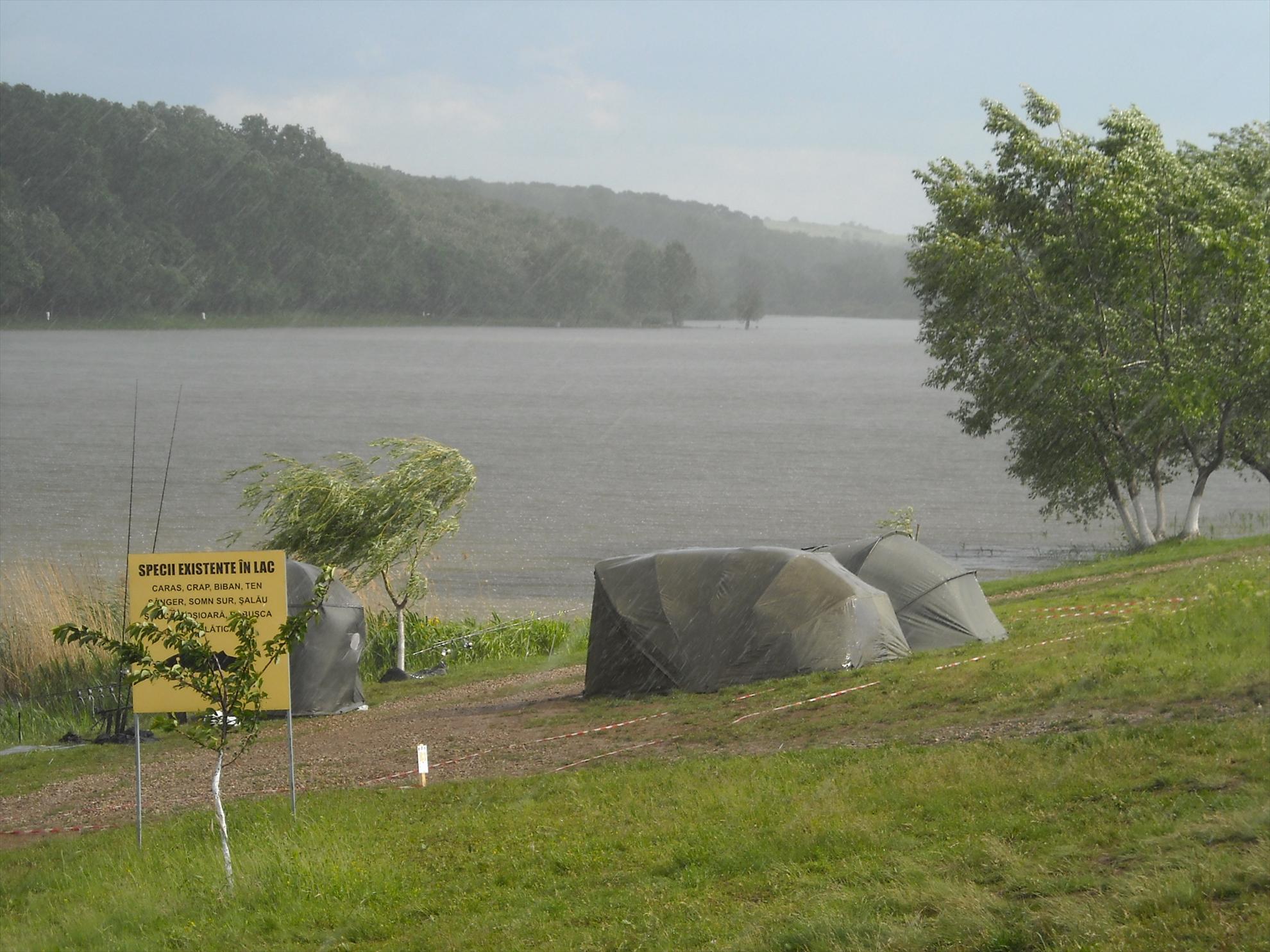 CN-2010-Cetariu - dscn3638.jpg